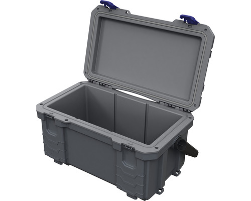 Geöffnete graue Kühlbox