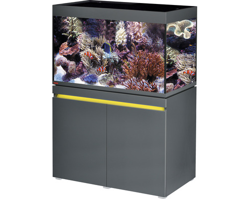 Kit complet d'aquarium EHEIM incpiria 330 marine avec éclairage à LED, pompe d'alimentation et meuble bas éclairé graphite