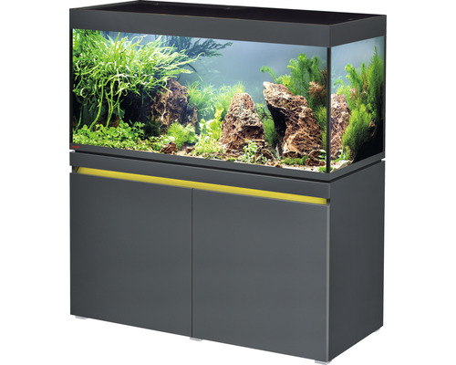 Ensemble d'aquariums EHEIM incpiria 430 avec éclairage à LED et meuble bas éclairé graphite