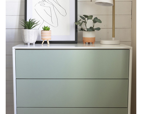 Commode à trois tiroirs avec des plantes et une lampe sur le dessus