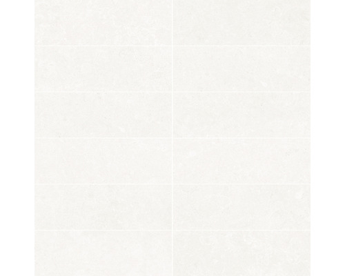 Mosaïque en grès cérame fin Ghent white 12T 30x30 cm All in One