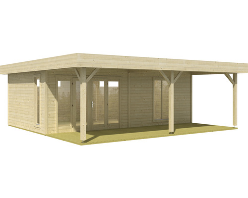 Abri de jardin en bois avec toit plat, fenêtres et double porte