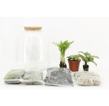 Terrarium-Set mit Glasbehälter, Korkverschluss, Pflanzen und Substrat