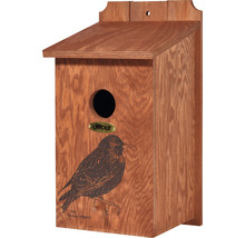 Vogelhaus aus Holz mit Starmotiv