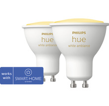 Zwei Philips Hue White Ambiance Leuchtmittel mit Smart Home by Hornbach Zeichen