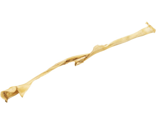 Friandise à mâcher pour chien en peau de bœuf