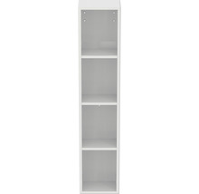 Armoire haute étroite avec quatre compartiments