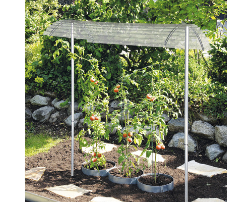 Tomatenhaus mit Tomatenpflanzen im Gartenbeet