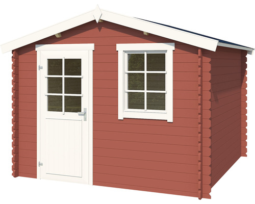 Abri de jardin avec porte et fenêtre