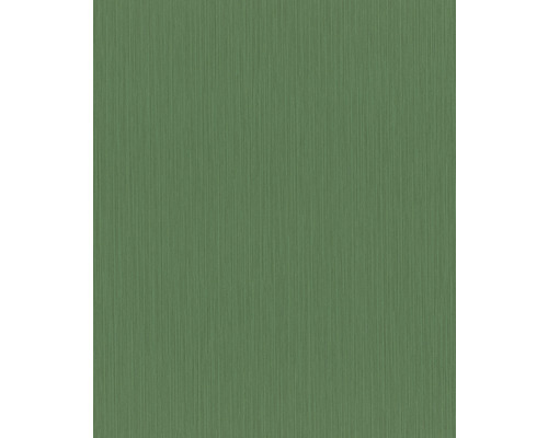 Papier peint intissé 537673 Curiosity rayures vert