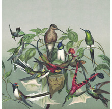 Illustration d''oiseaux-mouches sur une branche