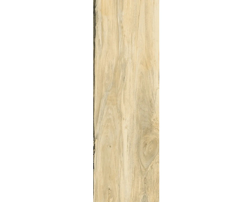 Feinsteinzeug Terrassenplatte Sherwood maple rektifizierte Kante 40 x 120 x 2 cm