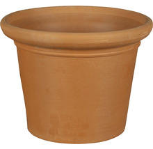 Pot de fleurs en terre cuite