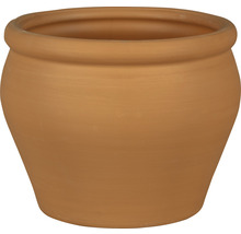 Pot de fleurs en terre cuite