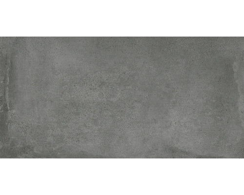Carrelage mur et sol en grès cérame fin Laurent plumb mat 29.8x60 cm