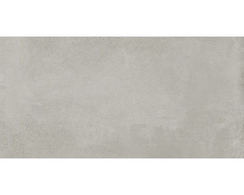 Carrelage mur et sol en grès cérame fin Laurent argent mat 29.8x60 cm