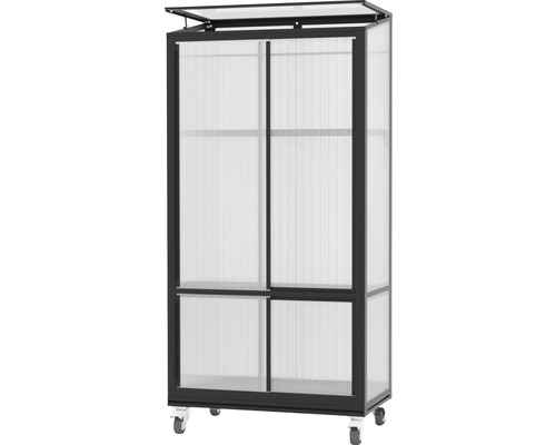 Serre avec roulettes et parois transparentes