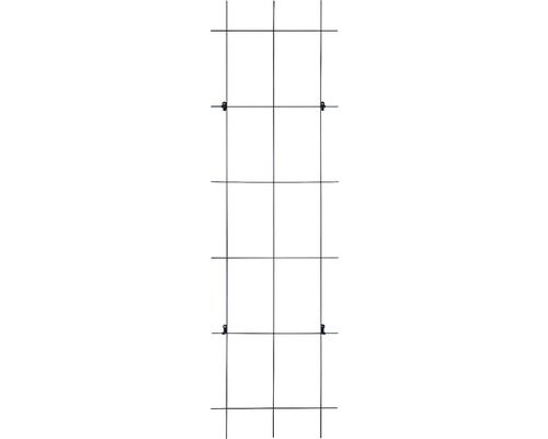 Treillis métallique pour le support des plantes