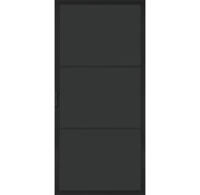 Porte intérieure foncée avec trois panneaux de verre rectangulaires
