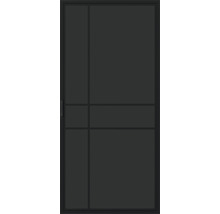Porte coulissante avec insert en verre et cadre en métal