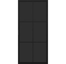 Porte intérieure noire avec panneaux de verre