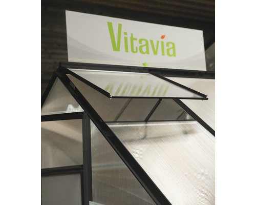 Dachfenster Vitavia Pollux/Maja ohne Verglasung 62,2 x 57,2 cm schwarz