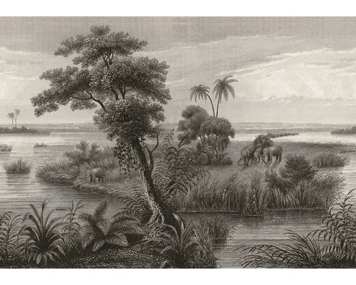 Papier peint panoramique intissé 556131 Lirico jungle noir 8 pces 424 x 300 cm