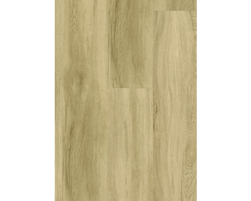 Dekor Vinylboden in Holzoptik