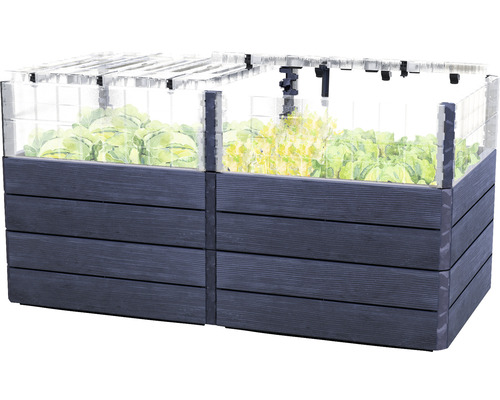 Jardinière surélevée en bois avec couvercle transparent et plantes