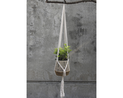 Hängeampel mit Pflanze an einem Ast