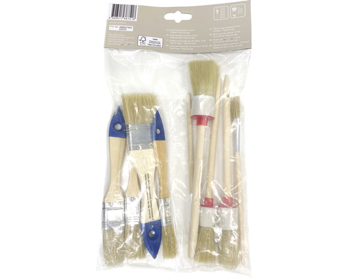 Ensemble de pinceaux avec différents pinceaux et manches en bois dans un emballage transparent