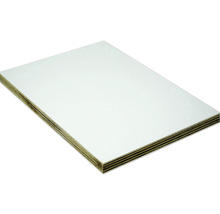 Panneau de contreplaqué revêtu