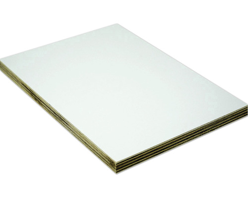 Panneau multiplis eucalyptus blanc sur les deux côtés 2500x1220x12 mm Panneau de contreplaqué revêtu