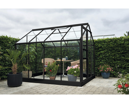 Serre Halls Popular 86 5,0 m² verre brut 3 mm 193x257 cm noir avec fondation GRATUITE