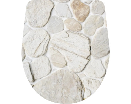 DIAQUA WC-Sitz Arles Rock Decor Beige glänzend mit Absenkautomatik