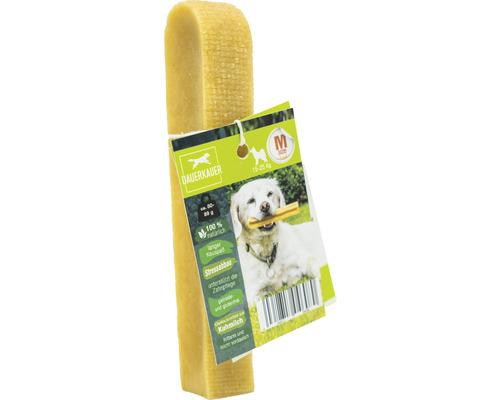 Friandises pour chiens DAUERKAUER Dauerkauer M à base de lait 1 pièce env. 80 g, hygiène dentaire, diminution du stress pour les chiens de 15 à 25 kg friandises à mâcher, fromage en forme d'os à mâcher