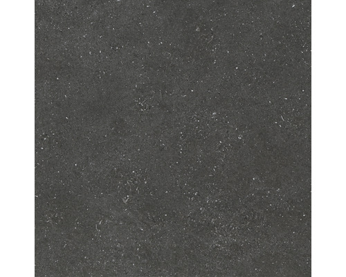 Carrelage sol et mur en grès cérame fin Alpen graphite 60 x 60 x 1 cm mat rectifié