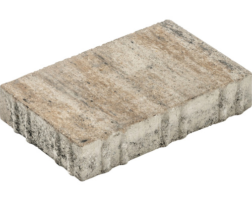 Pavé iWay Modern calcaire coquillier 30 x 20 x 6  cm