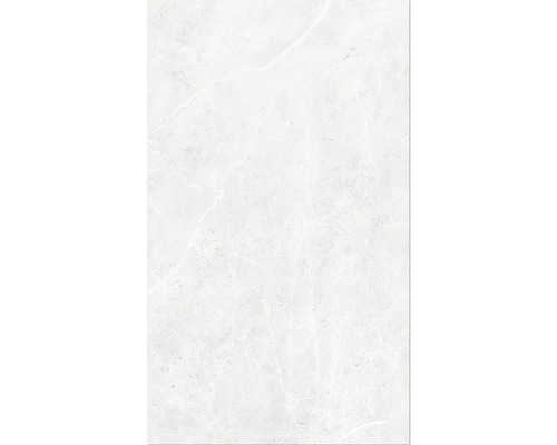 Duschrückwand BREUER Marmor Seidenmatt 2550 x 1500 mm 9482550000099