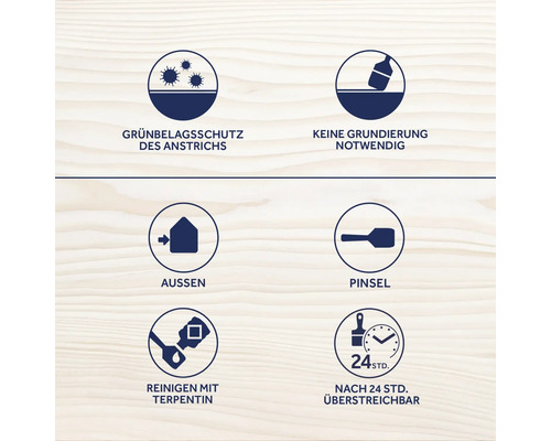 Symboles pour protection contre les dépôts verts de la peinture, pas d''apprêt nécessaire, application extérieure, pinceau, nettoyage à la térébenthine, peut être repeint après 24 heures