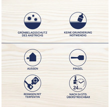 Symboles des propriétés de la peinture : protection contre le dépôt vert, pas d’apprêt nécessaire, convient pour l’extérieur, convient pour les pinceaux, nettoyage au white-spirit, peut être repeint après 24 heures