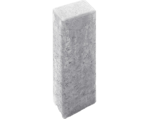 Pavé rectangulaire en béton