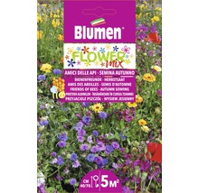 Blumen Flower Mix Semis d''automne pour les amis des abeilles