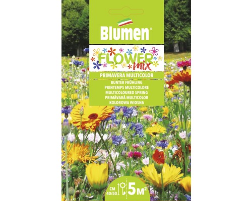 Graines printemps multicolore Mauser