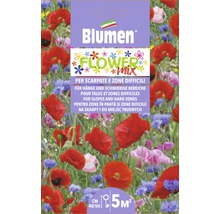Blumen Mélange de fleurs pour pentes et zones difficiles, adapté pour environ 5 mètres carrés