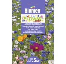 Blumen Graines de fleurs pour endroits ombragés, mélange pour jusqu''à 5 mètres carrés
