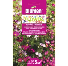 Blumen Flower Mix pour emplacements ensoleillés, convient pour une surface de 5 mètres carrés