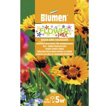 Blumen Flower Mix pour emplacements ensoleillés, convient pour 5 mètres carrés