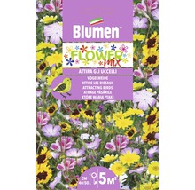 Blumen Flower Mix, plantes pour nourrir les oiseaux, pour environ 5 mètres carrés