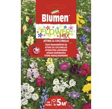 Blumen Flower Mix zieht Marienkäfer an, Saatgut für circa 5 Quadratmeter